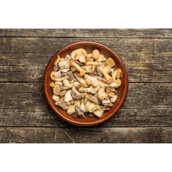 Frozen Mushrum (40)-3254033-74004.webp